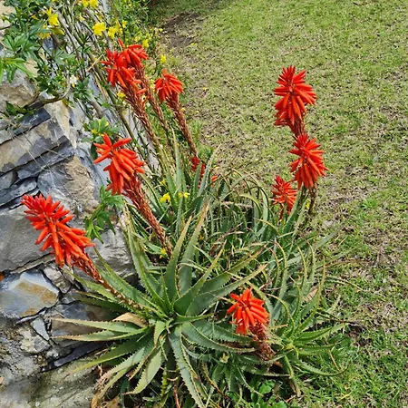La Casa Di Sassolino - Tra 5 Terre E Potofino
