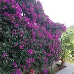 La Casa Di Sassolino *