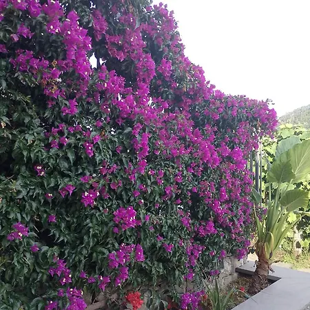 La Casa Di Sassolino *
